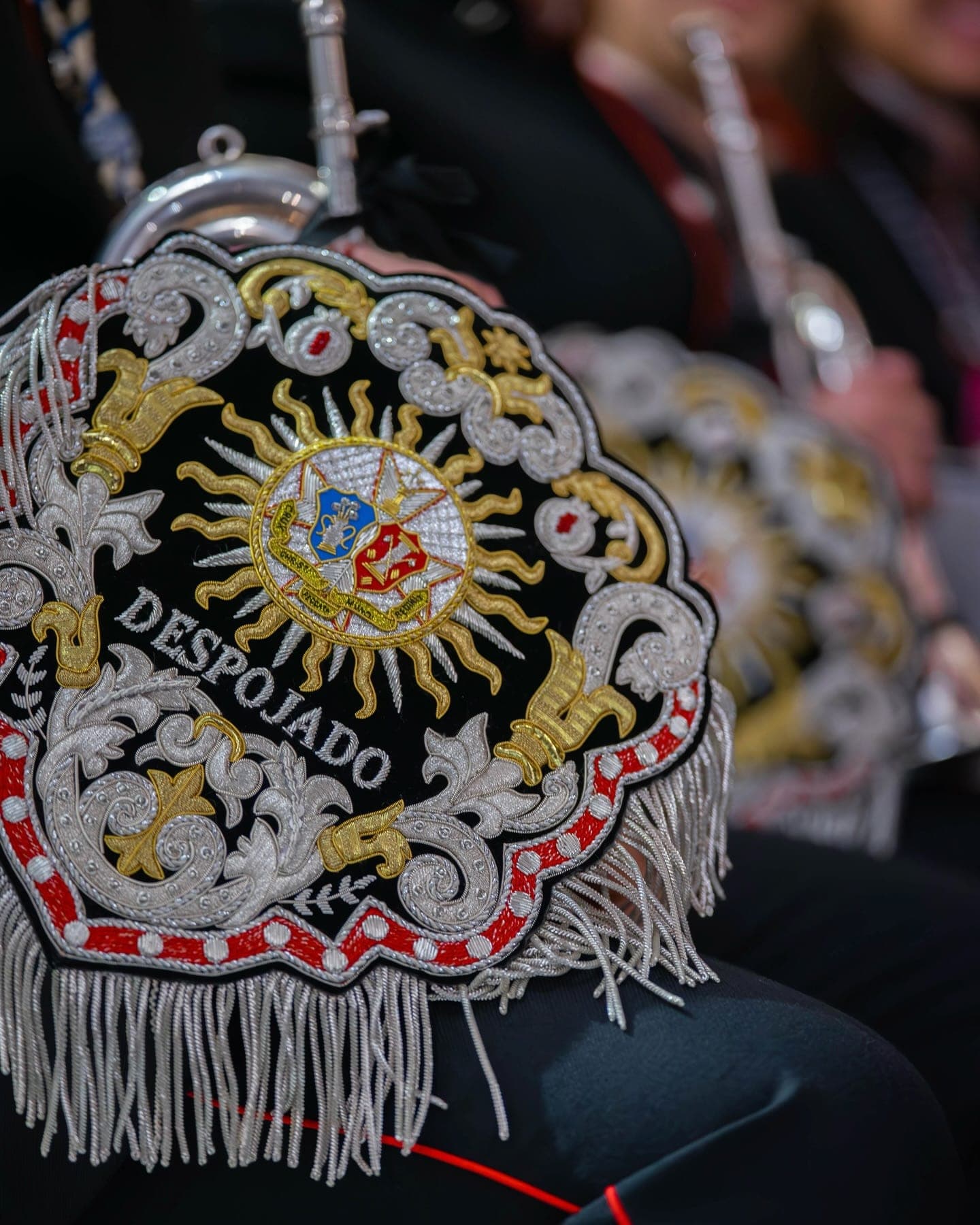 Detalle del mantolín bordado de la banda